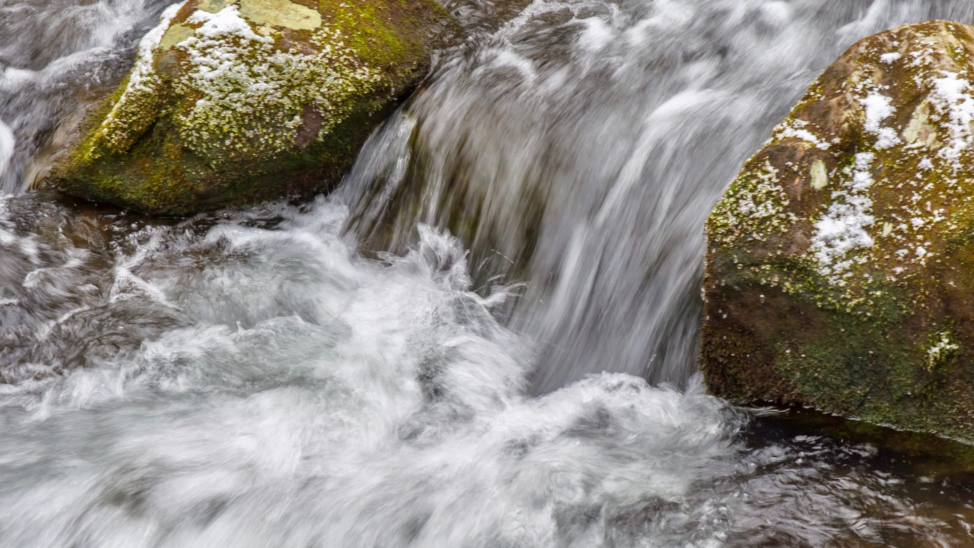 Sewickley Valley Conservation Association