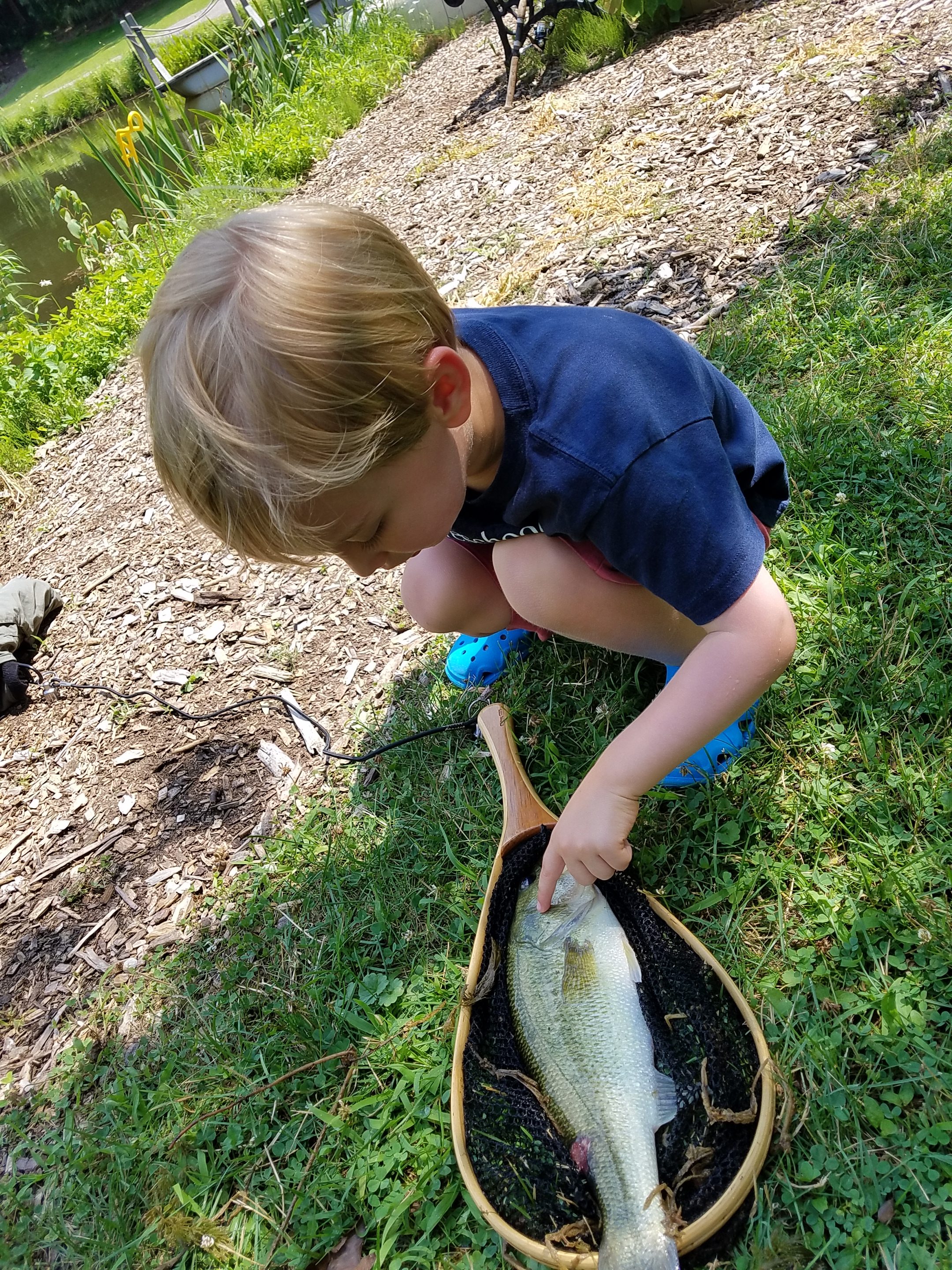 Grandson caught a Largemouth bass at Kings Lake